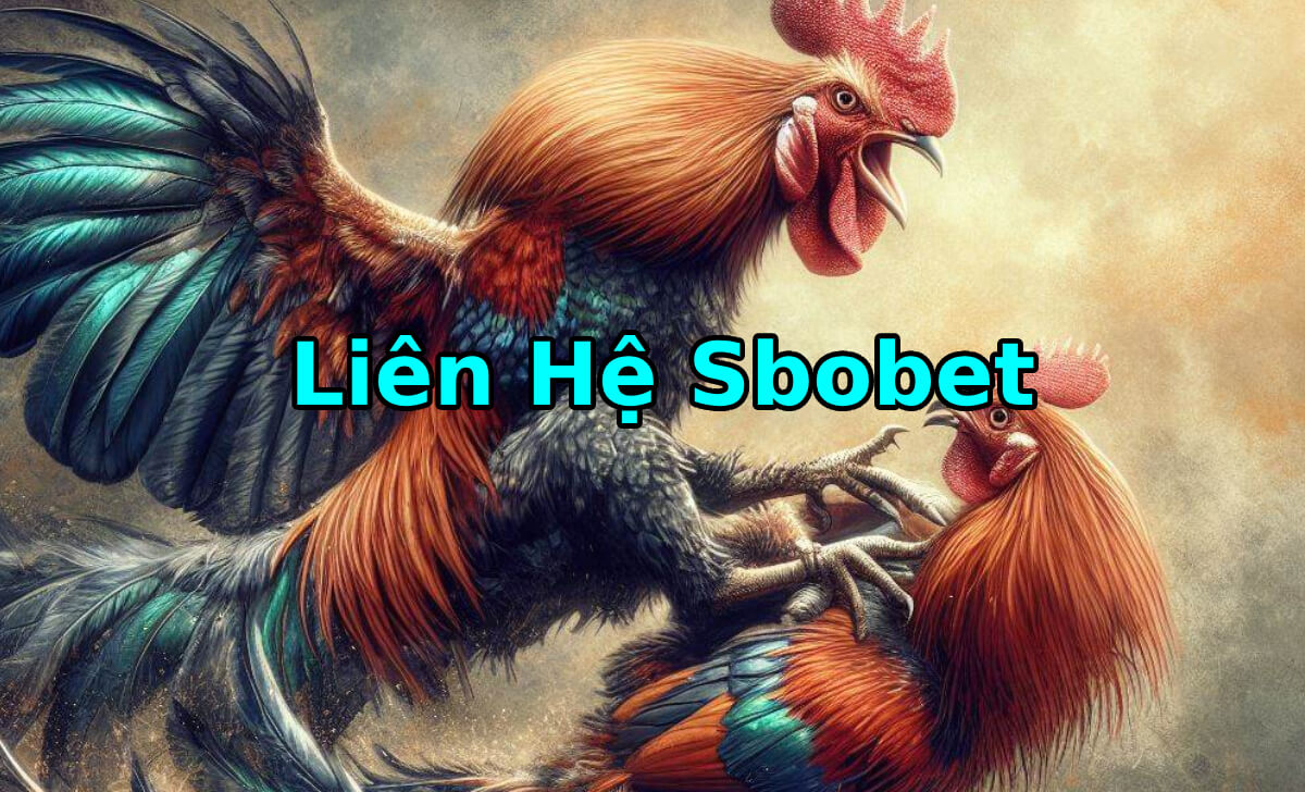 Tại sao nên liên hệ nhà cái Sbobet?